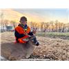 Image 5 : 3-Day Youth Iowa Whitetail Buck Hunt