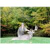 Image 3 : Five Star Ohio Whitetail Hunt