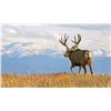 Image 5 : Idaho Mule Deer Hunt