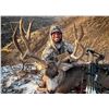 Image 6 : Idaho Mule Deer Hunt