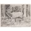 Image 1 : Ken Carlson, pencil