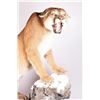 Image 2 : Full Body Cougar Mount