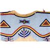 Image 2 : Sioux Beaded Woman's Dress