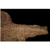 Image 8 : Inuit Seal Gut Jacket