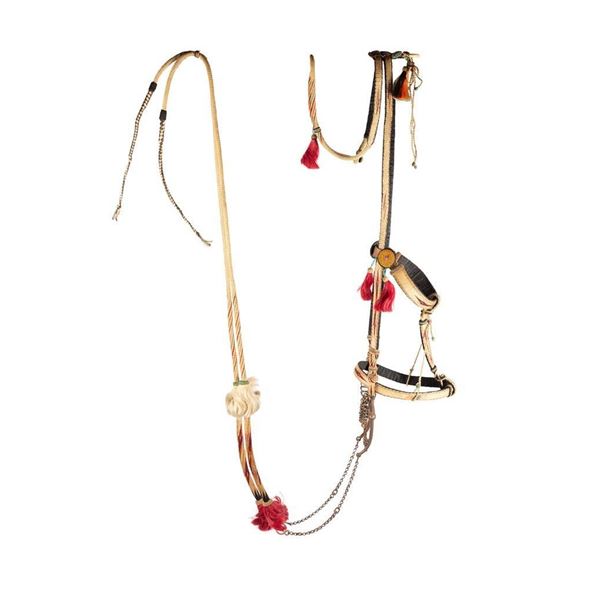 Deer Lodge Prison Horsehair Bridle & Reins