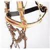 Image 8 : Deer Lodge Prison Horsehair Bridle & Reins