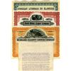 Image 1 : Alaska Gold Rush and Mining Assortment of Stocks Certificates and Lease Documents, 1901-1917