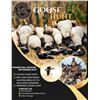 Image 2 : 1-Day SE Michigan Early Goose Hunt September 28th for Two (2) Hunters