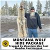 Image 1 : Tanned Montana Wolf Hide Package Trapped by Paul Antczak of History Channel's Mountain Men Show