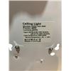 Image 3 : White Ceiling Light