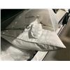 Image 2 : Weatherproof Luxury Pillows Standard Queen size - Lot of 2