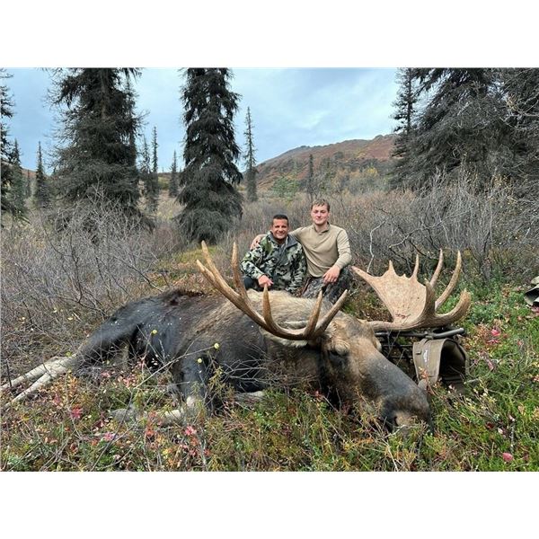 Alaska Moose Guided for 1 Hunter