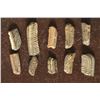 Image 2 : 10 SHARK SKATE'S TEETH PLATES FROM THE MIOCENE
