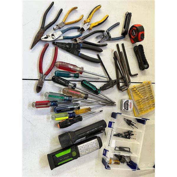 Assorted Screwdrivers, Pliers, Allan Keys & More