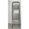 Image 1 : Step Ladder