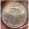 Image 2 : 2010 CHRISTMAS "BABY'S 1ST SILVER DOLLAR"- 1 OZ. AMERICAN EAGLE IN SNAPLOCK CASE