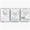Image 2 : 2008-2012 [3] Silver Eagle NGC MS69/70
