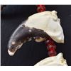 Image 5 : CRUSTATION CLAW NECKLACE