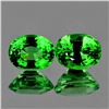 Image 1 : Natural Chrome Green Tsavorite Garnet Pair - FL