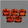 Image 1 : Natural Champagne Imperial Topaz 5 Pcs  {Flawless-VVS1}