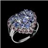 Image 1 : Natural Heart Tanzanite & Rhodolite Garnet Ring