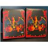 Image 1 : Lot of 2 Leather Pokemon Premium Card Binders - Charizard Design - Holds 400 Cards Each