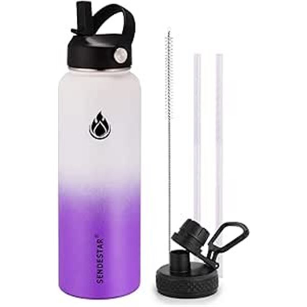 Lot of 1 Sendestar Double Wall Stainless Steel Insulated Water Bottle - 1.2L (40oz) - White/Purple