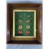 Image 1 : Framed Collection Of Vintage Bridle Rosettes. Approx. 14 1/2" x 12 1/2".