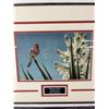 Image 2 : Nicely Framed Print House Finch and Yucca by Robert Bateman