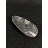 Image 2 : Ammontite Fossil ( morocco) MSRP $300