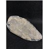 Image 2 : Genuine Orthoceras Fossil Display MSRP $1200