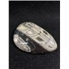 Image 1 : Genuine Orthoceras Fossil Display. MSRP $600.00