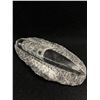 Image 1 : Genuine Orthoceras Fossil Display. MSRP $1200.00