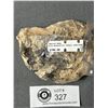 Image 2 : Genuine Ammonite Agoniatite Fossil Specimen. MSRP $700.00