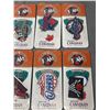 Image 3 : 10 Rare Molson Canadian Vancouver Grizzlies Embroidered NBA Basket Ball Patches