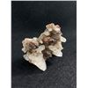 Image 2 : Genuine Dog Tooth Calcite Specimen. MSRP $750.00