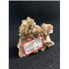 Image 3 : Genuine Dog Tooth Calcite Specimen. MSRP $750.00