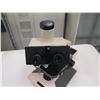 Image 2 : Olympus BH-2 BHS Binocular Phase Contrast Microscope