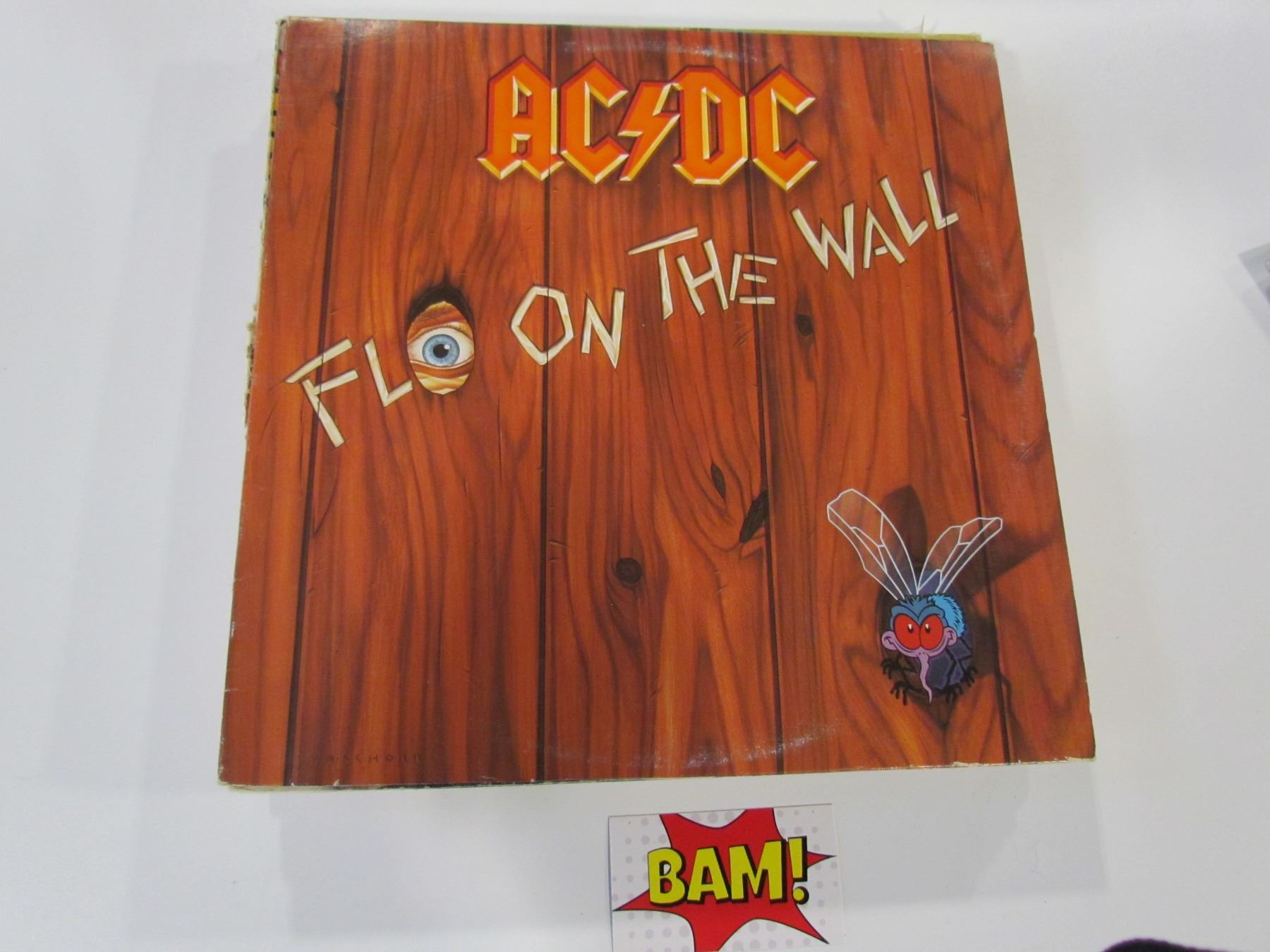 AC/DC Fly on the Wall