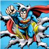 Image 2 : Superman Fist Forward by DC Comics