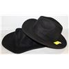 Image 1 : LOT OF 2 FEDORA MEN AND WOMEN WOOL FELT WINTER