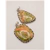 Image 1 : #173-NATURAL UNAKITE PENDANT 2 PCS