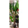 Image 1 : NEW CROSOFMI 4.6FT ARTIFICIAL CANNA LILY'S