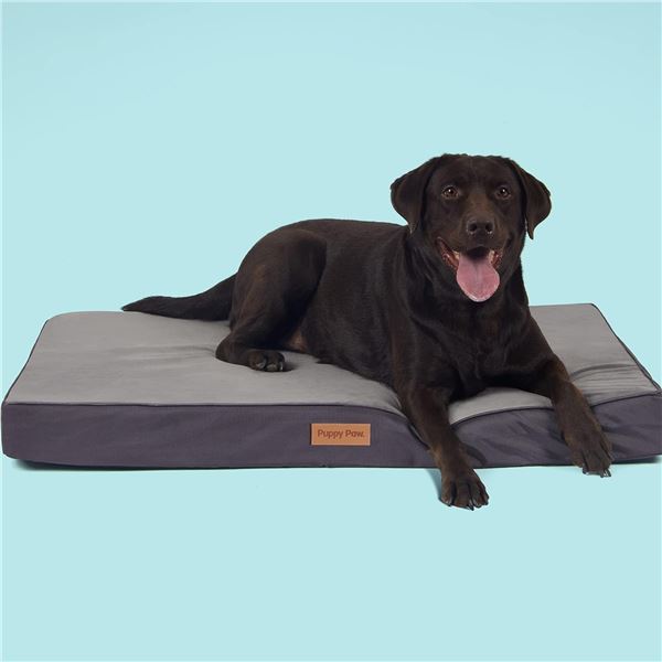 NEW PAWS HONEY ORTHOPEDIC DOG BED