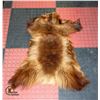 Image 1 : 3 FOOT LONG WOLVERINE PELT