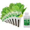 Image 1 : NEW AREOGARDEN MIXED ROMAINE SEED POD KIT 9 PODS