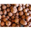 Image 1 : NEW 10L BAG OF LAIFLOR CLAY PEBBLES 15-25MM SIZE