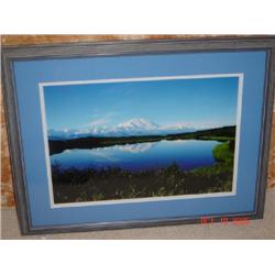 Photograph -  Nature's Bounty  by Rod Kieft- Donor: Rod Kieft