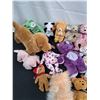 Image 2 : Beanie Babies Lot