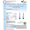 Image 4 : 4.71 ctw Turquoise and 1.87 ctw Diamond 14K White Gold Earrings